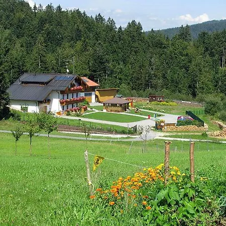 Haus-spannbauer-wohnung-ploeckenstein 公寓 *